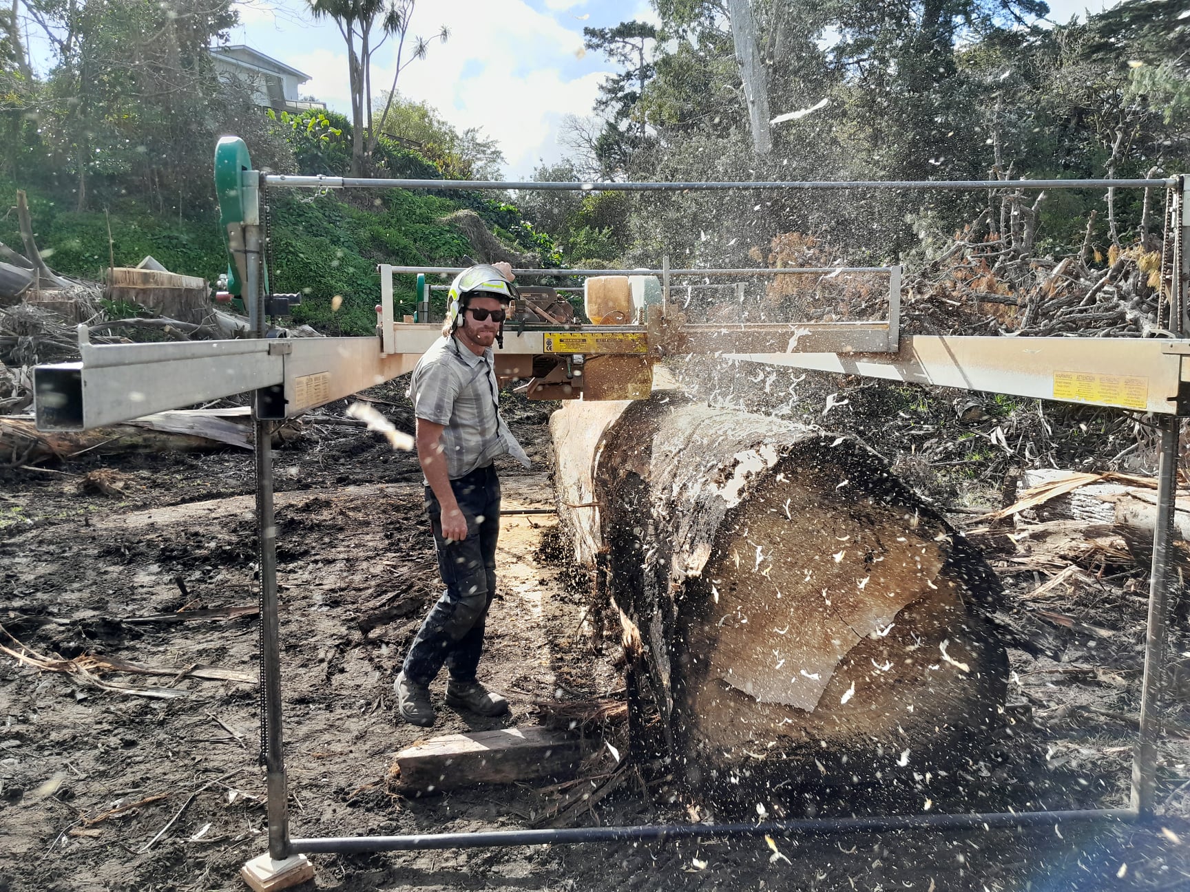 Hamish milling a large marcrocarpa log